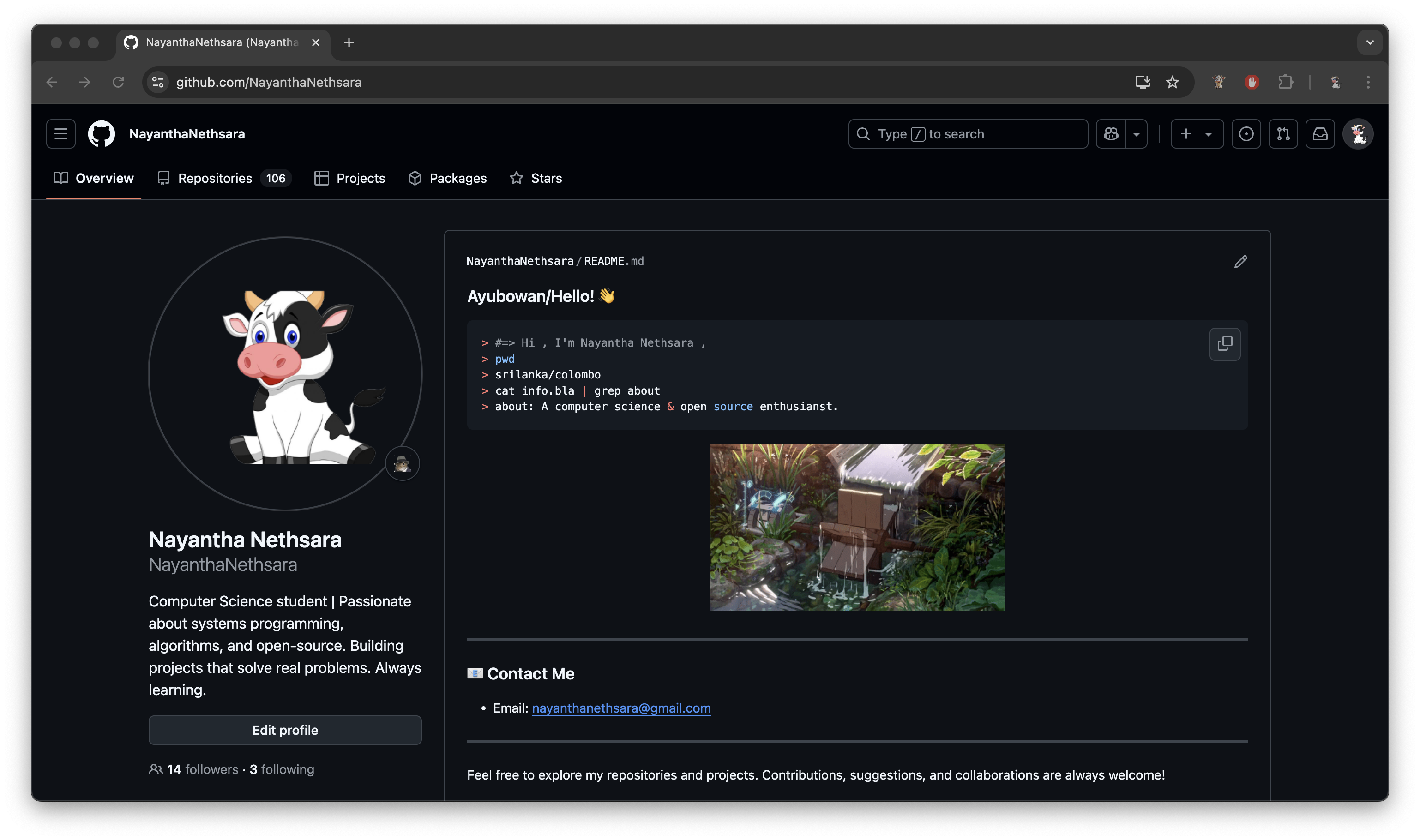 My GitHub Flex